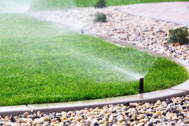 6 interesting gopher facts in a watered lawn