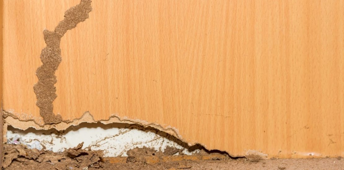 Protect against termite infestations