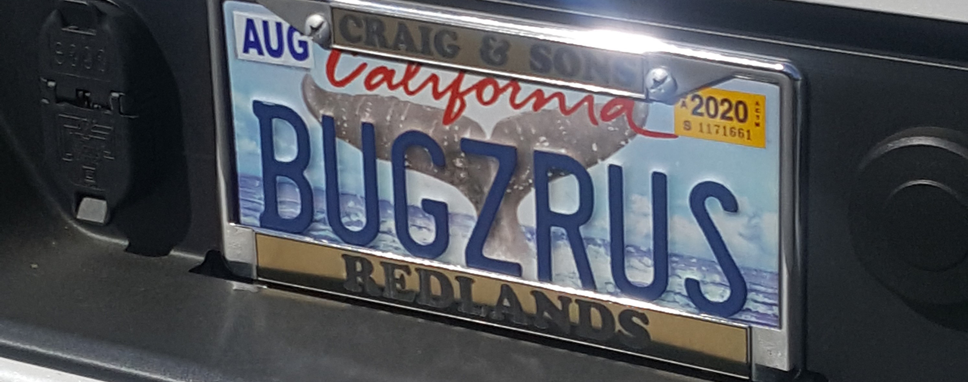 Craig & Sons license plate