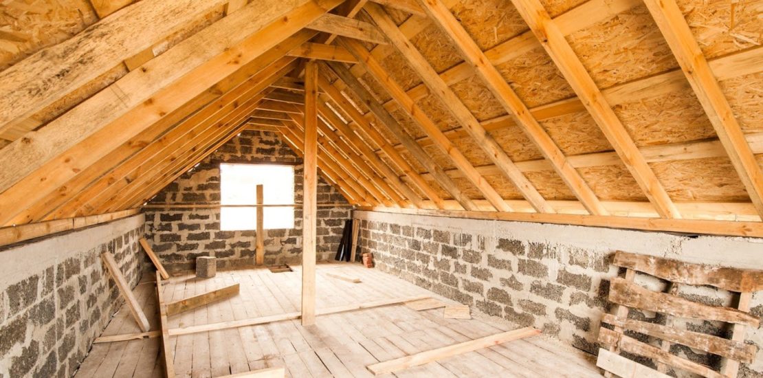 Household pests that prefer the attic