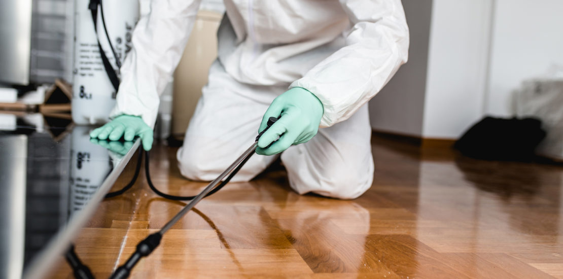 Home escrow pest inspection