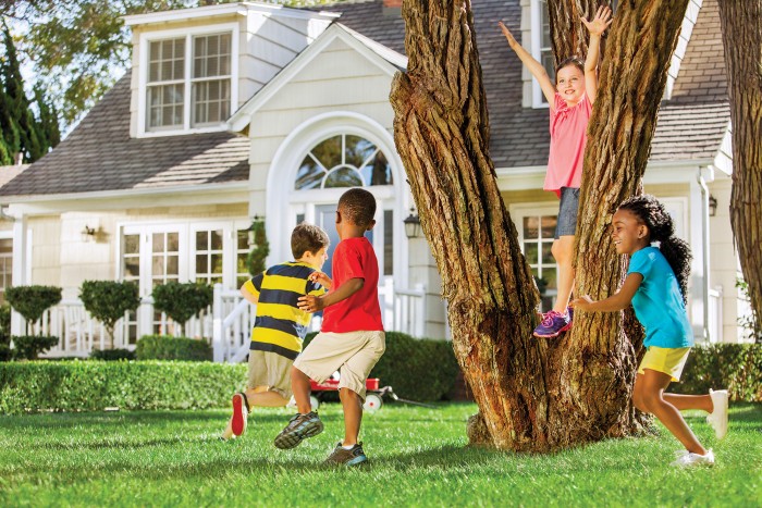 Pest control backyard protection