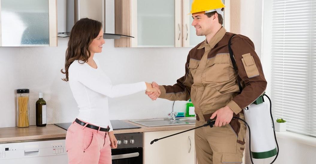 Pest free rental properties